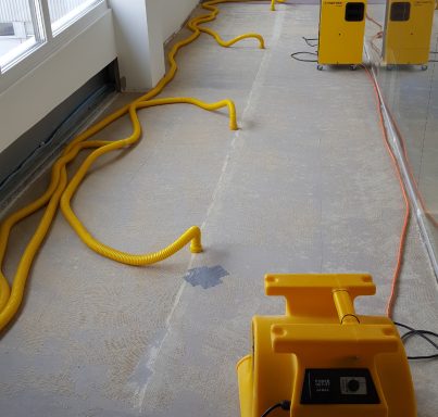 Estrich-Dämmschicht-Trocknung