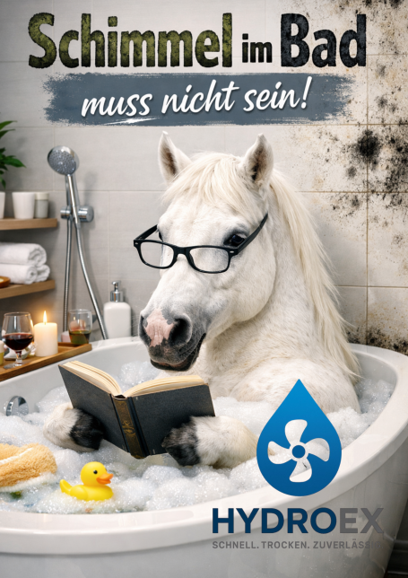 Hydroex Schimmelsanierung